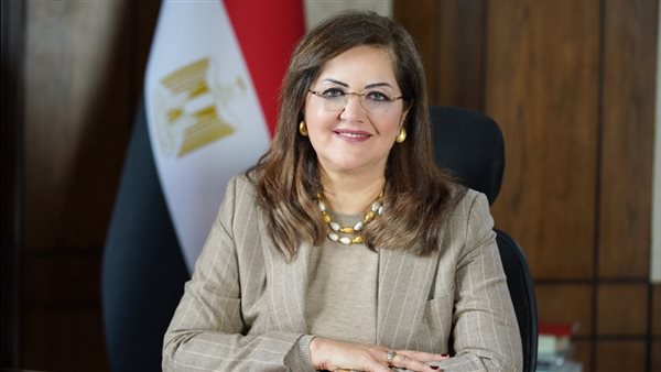 المعهد القومي للحوكمة والتنمية المستدامة