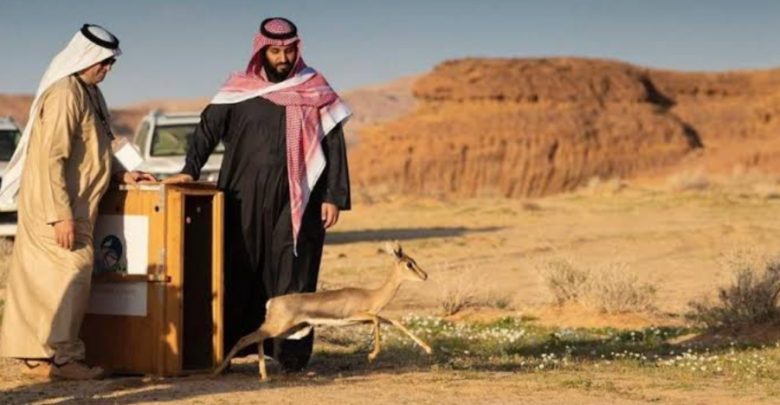 المملكة العربية السعودية