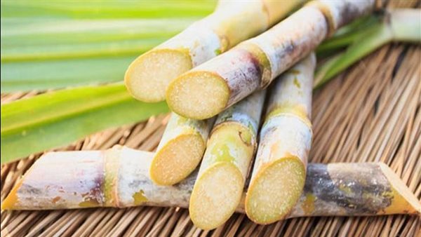 وزارة التموين والتجارة الداخلية
