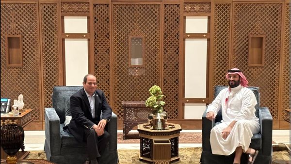 الرئيس عبد الفتاح السيسي