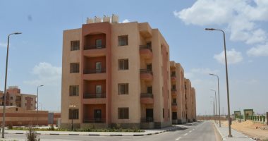 محافظ الجيزة