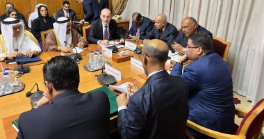 وزراء الخارجية العرب