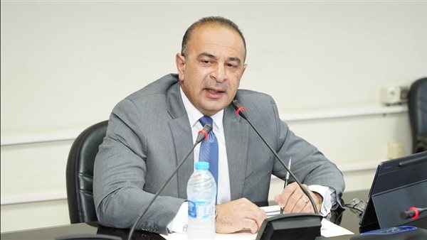 وزيرة التخطيط والتنمية الاقتصادية