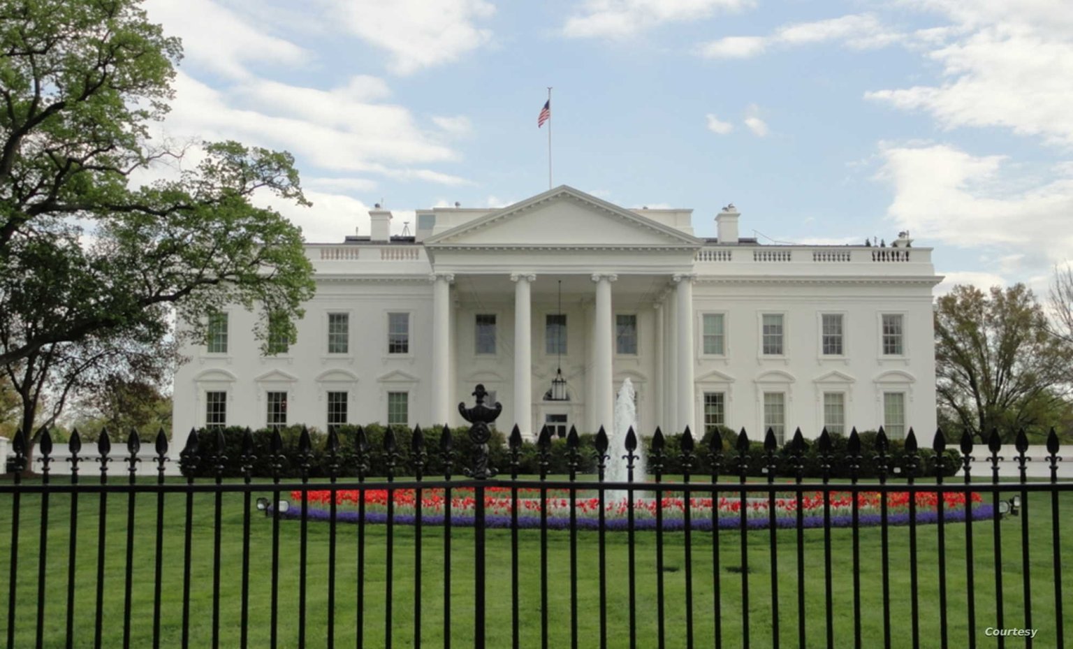 الولايات المتحدة