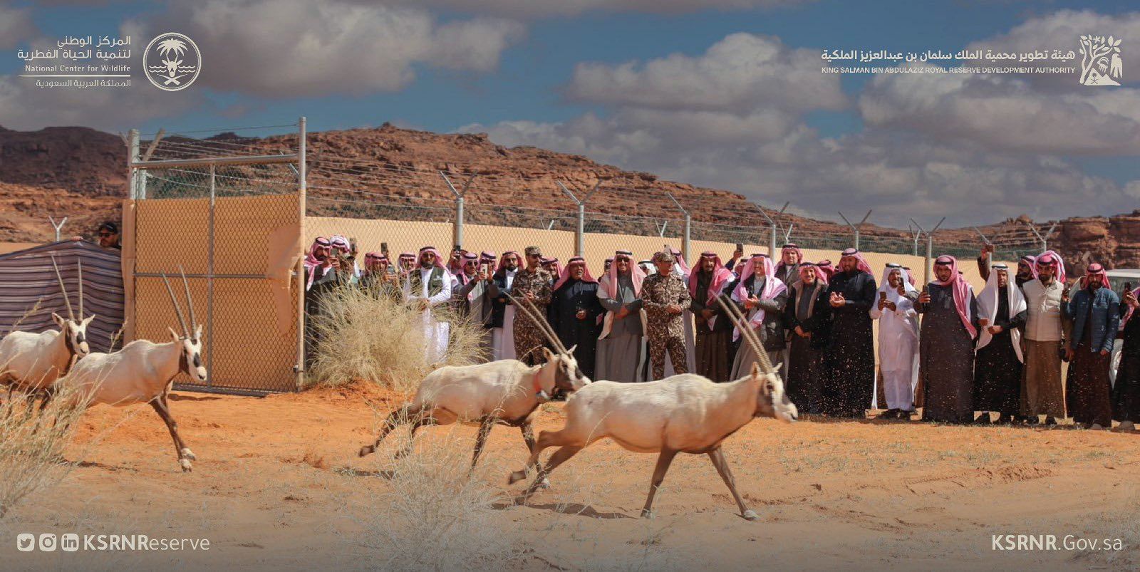 هيئة تطوير محمية الملك سلمان بن عبدالعزيز الملكية تحصل على العضوية الحكومية للاتحاد الدولي لحماية الطبيعة IUCN