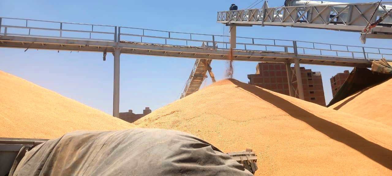 التموين والتجارة الداخلية