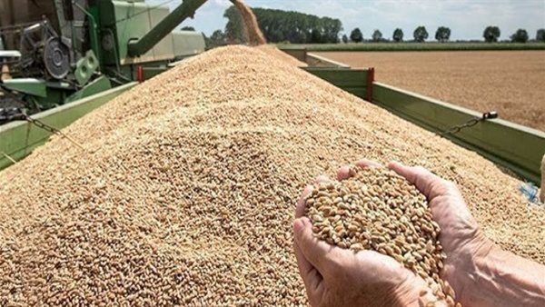 الجهاز المركزي للتعبئة العامة والإحصاء