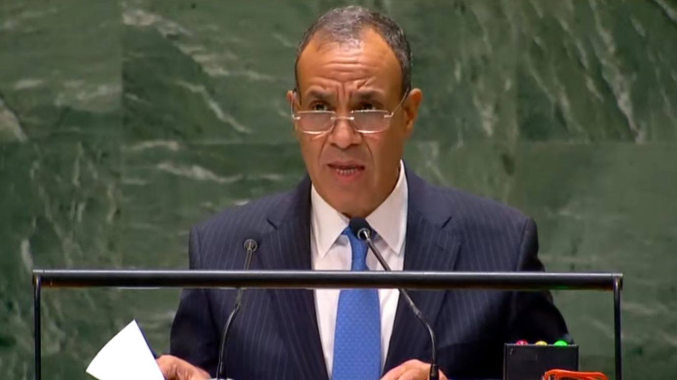 وزير الخارجية والهجرة وشئون المصريين في الخارج