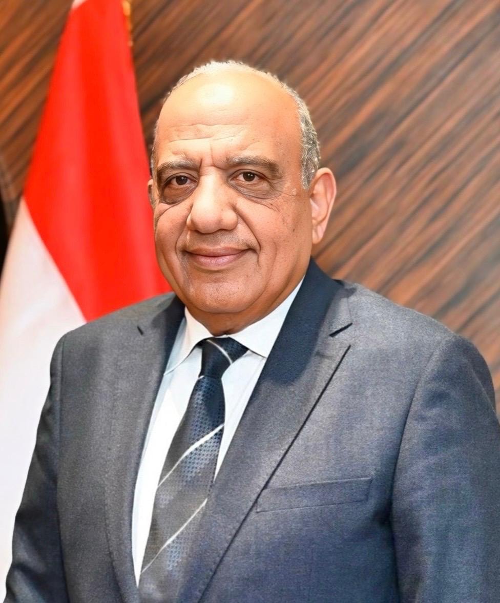 الدكتور محمود عصمت ، وزير الكهرباء والطاقة المتجددة