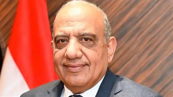 الدكتور محمود عصمت وزير الكهرباء والطاقة المتجددة،