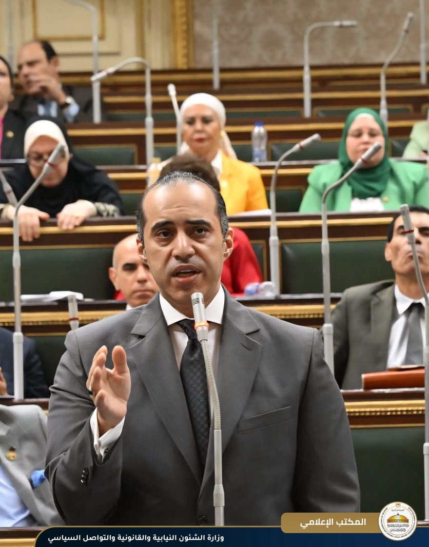 المستشار محمود فوزي، وزير الشئون النيابية والقانونية والتواصل السياسي