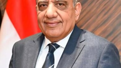 الدكتور محمود عصمت وزير الكهرباء والطاقة المتجددة