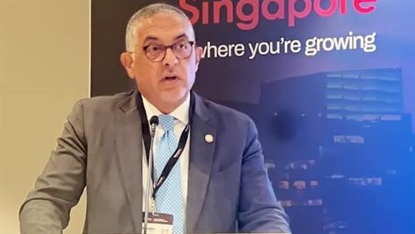 حسام هيبة، الرئيس التنفيذي للهيئة العامة للاستثمار والمناطق الحرة