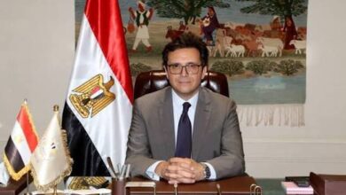 الدكتور أحمد فؤاد هنو، وزير الثقافة