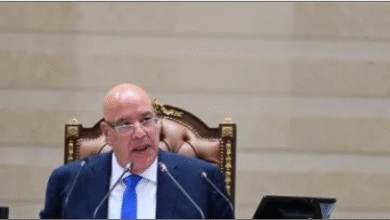 المستشار هشام بدوي رئيس مجلس النواب