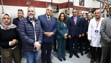 الإنتاج العالمي للفراولة في 2024 - الفراولة