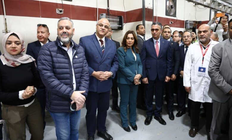 الإنتاج العالمي للفراولة في 2024 - الفراولة