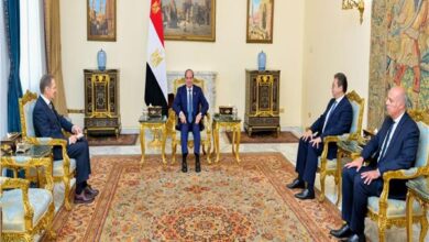 الرئيس السيسي خلال استقباله رئيس جهاز الاستخبارات الخارجية بروسيا الاتحادية