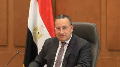 الدكتور عبدالعزيز قنصوة، وزير التعليم العالي والبحث العلمي