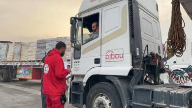 قافلة زاد العزة ، زاد العزة ،  الهلال الأحمر المصري  ،  غزة ،  سلة غذائية ودوائية