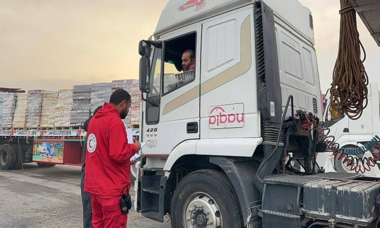 قافلة زاد العزة ، زاد العزة ،  الهلال الأحمر المصري  ،  غزة ،  سلة غذائية ودوائية