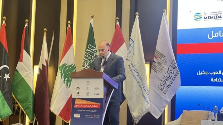 شريف لقمان وكيل محافظ البنك المركزي المصري