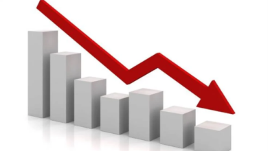انخفاض البطالة ، الجهاز المركزى للتعبئة العامة والإحصاء، انخفاض معدل البطالة السنوي في 2025 ،   معدل البطالة السنوي في 2025