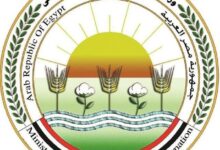الزراعة