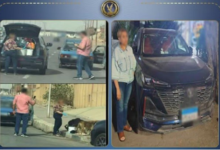 ضبط سيدة جمعت تبرعات لإطعام كلاب الشوارع  ، ضبط سيدة جمعت تبرعات ، إطعام كلاب الشوارع  