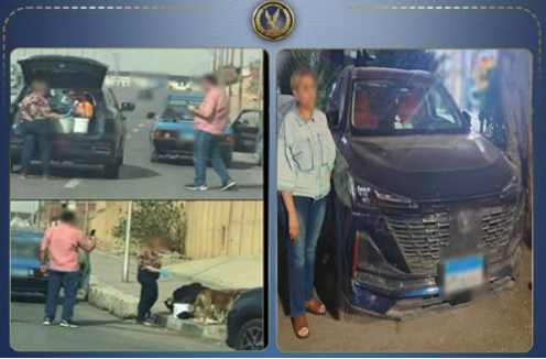 ضبط سيدة جمعت تبرعات لإطعام كلاب الشوارع  ، ضبط سيدة جمعت تبرعات ، إطعام كلاب الشوارع  