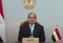 الرئيس عبدالفتاح السيسى ،