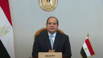 الرئيس عبدالفتاح السيسى ،